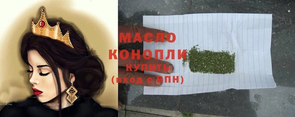 индика Бугульма