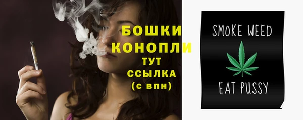 индика Бугульма