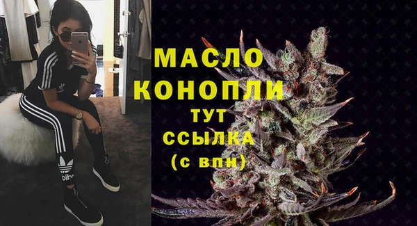индика Бугульма