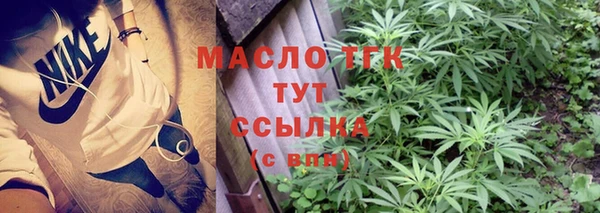 индика Бугульма