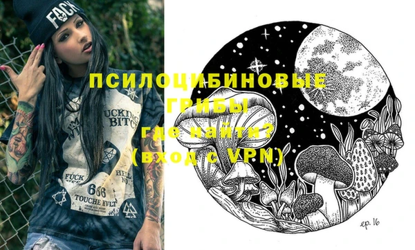 индика Бугульма