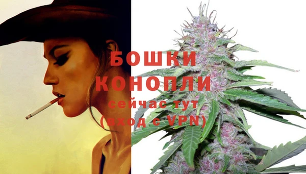 apvp Бородино