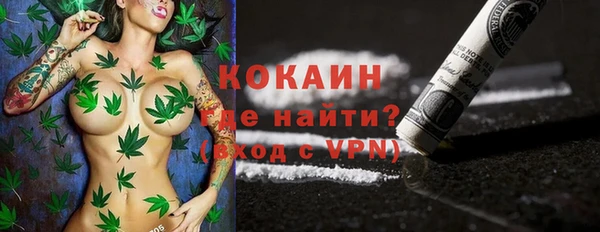 индика Бугульма