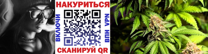 Бошки марихуана планчик  Купить закладки  Новохопёрск 